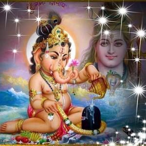 Meet your Posher, Shuinuii